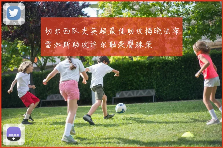 切尔西队史英超最佳助攻揭晓法布雷加斯助攻许尔勒荣膺殊荣