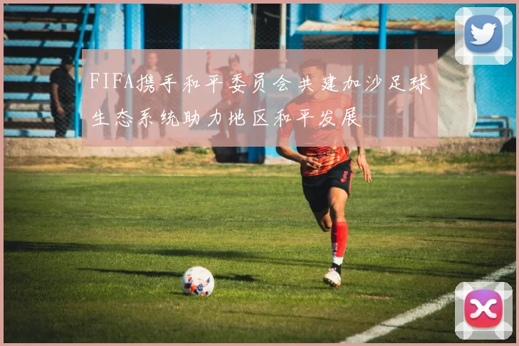 FIFA携手和平委员会共建加沙足球生态系统助力地区和平发展