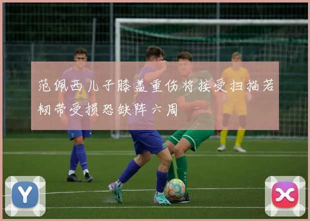 范佩西儿子膝盖重伤将接受扫描若韧带受损恐缺阵六周