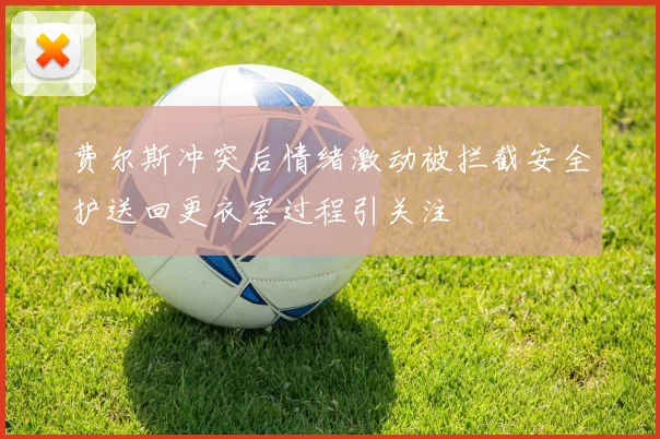 费尔斯冲突后情绪激动被拦截安全护送回更衣室过程引关注